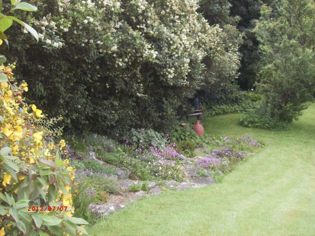 Sunnyside-Cottage Ennistimon Bagian luar foto