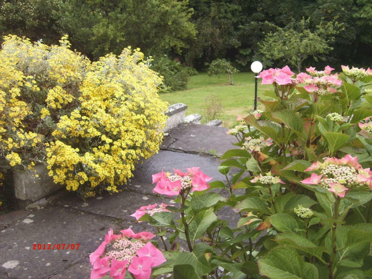 Sunnyside-Cottage Ennistimon Bagian luar foto