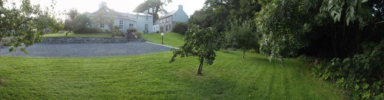 Sunnyside-Cottage Ennistimon Bagian luar foto